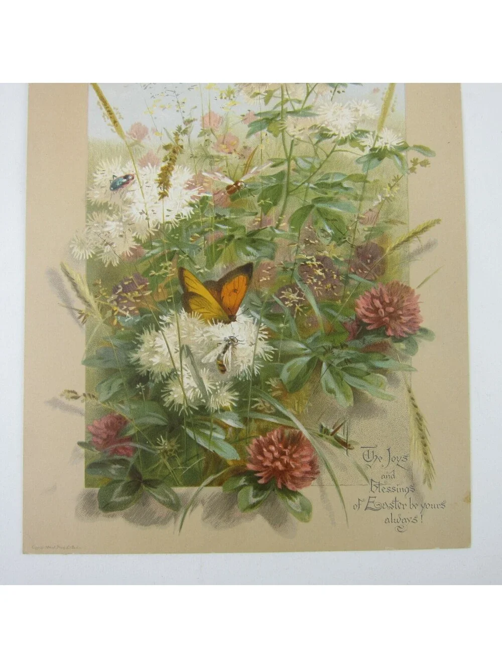 Victorian Easter Greeting Card Flowers Wheat Butterfly Grasshopper Antique 1884